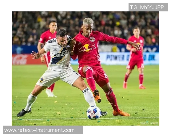 纽约城与波兰特伐木的对决谁能在城市与自然之间找到平衡 纽约城与波兰特伐木的对决谁能在城市与自然之间找到平衡