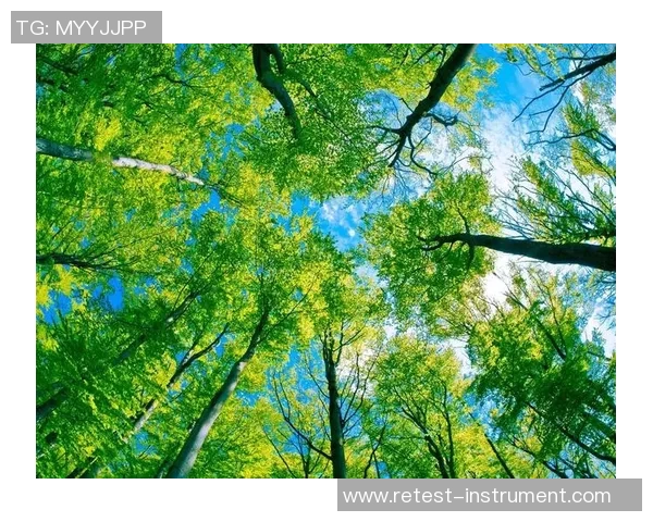 绿色森林与牛津联的激战谁能在赛场上笑到最后